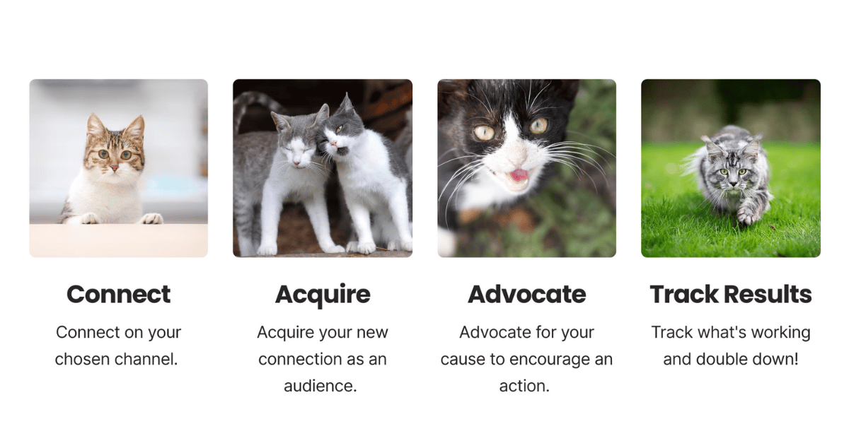 C-A-A-T Nonprofit Marketing Framework