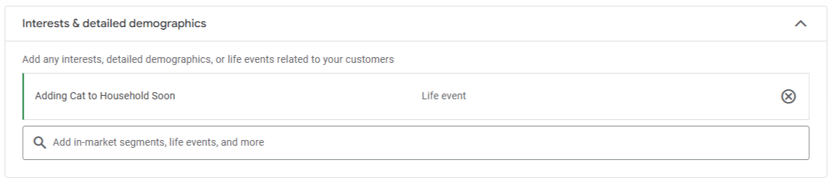 performance max audience example