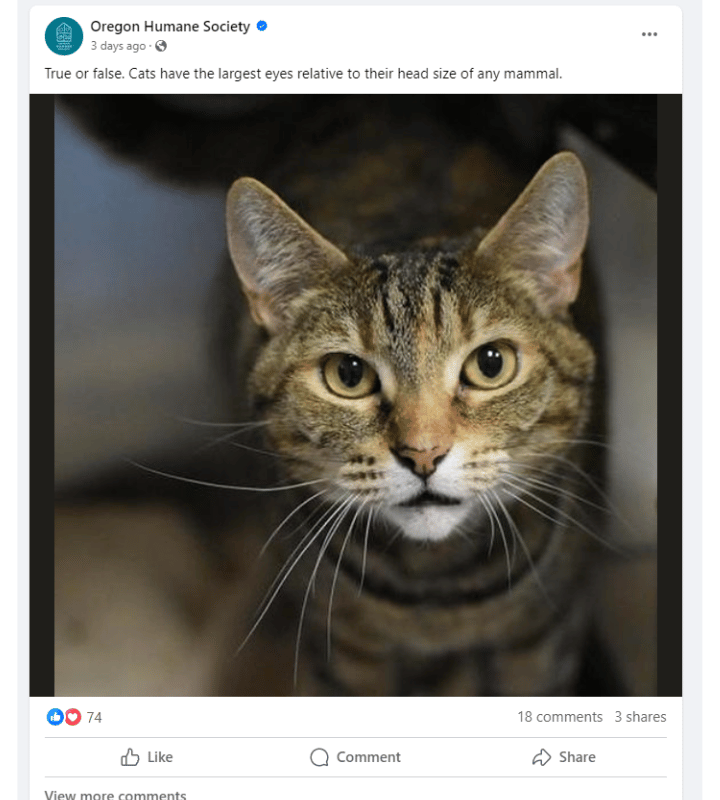 Example facebook post for engagement