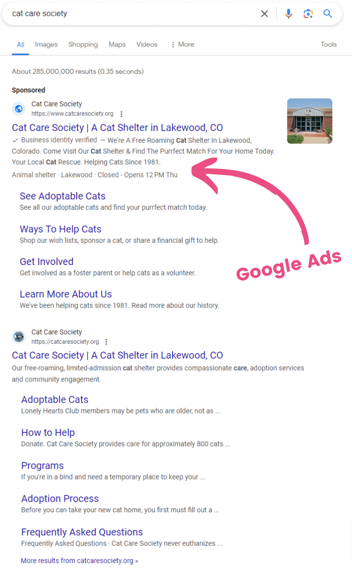 cat care society branded campaign example