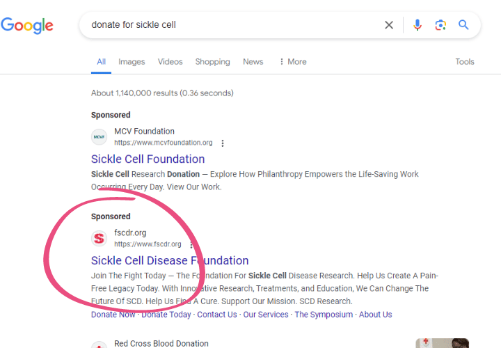 donate for sickle cell grant example