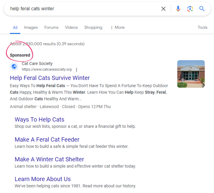 feral cats winter content google ad grant result