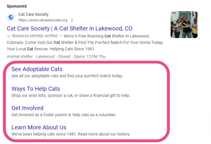 example of sitelink requirement for google ad grants